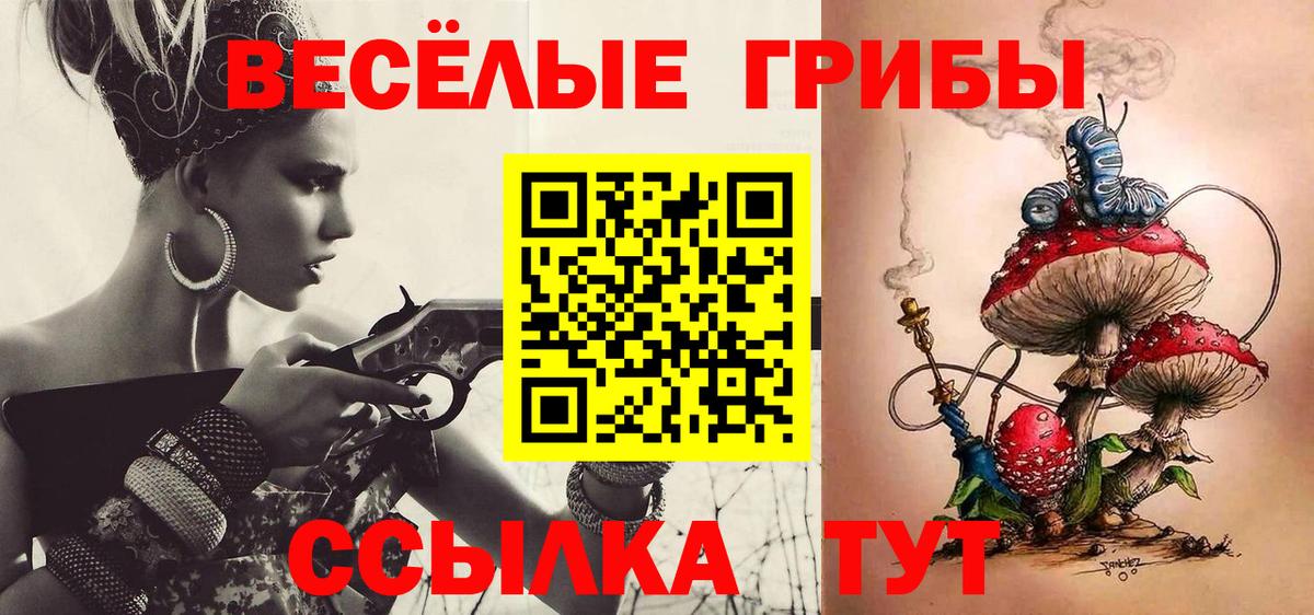 Хасавюрт  Галлюциногенные грибы ЛСД  Вход с VPN 